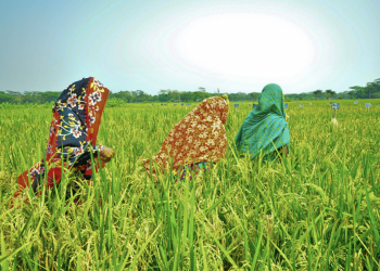 Donne e sostenibilità: un binomio vincente per lo sviluppo