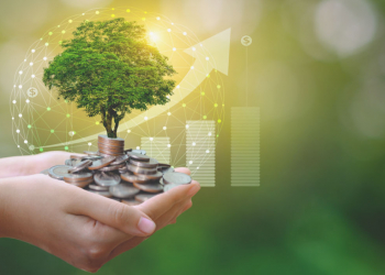 La finanza green guida il Sud-Est asiatico verso la de-carbonizzazione