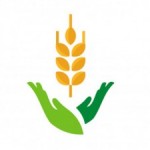 Foto del profilo di riceimport